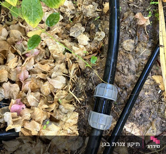 חיבור ותיקון צינור השקיה בגינה באמצעות מחבר פלסטיק